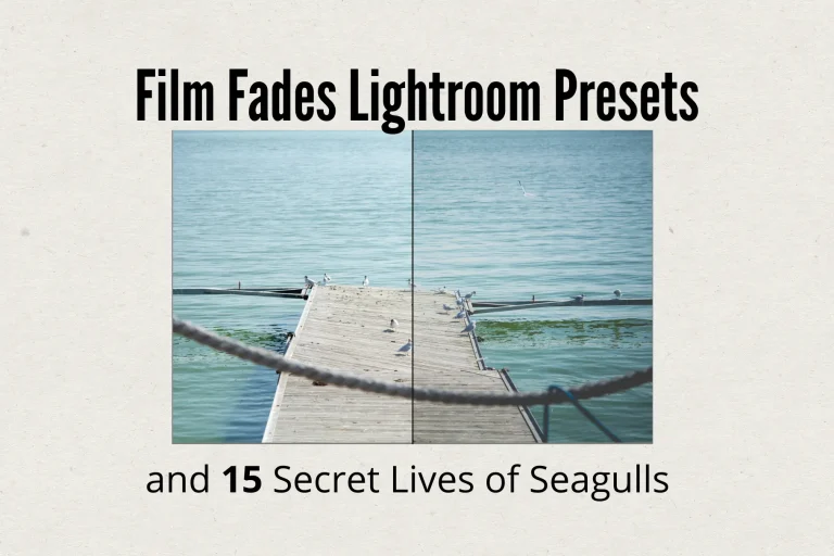 free lightroom preset
